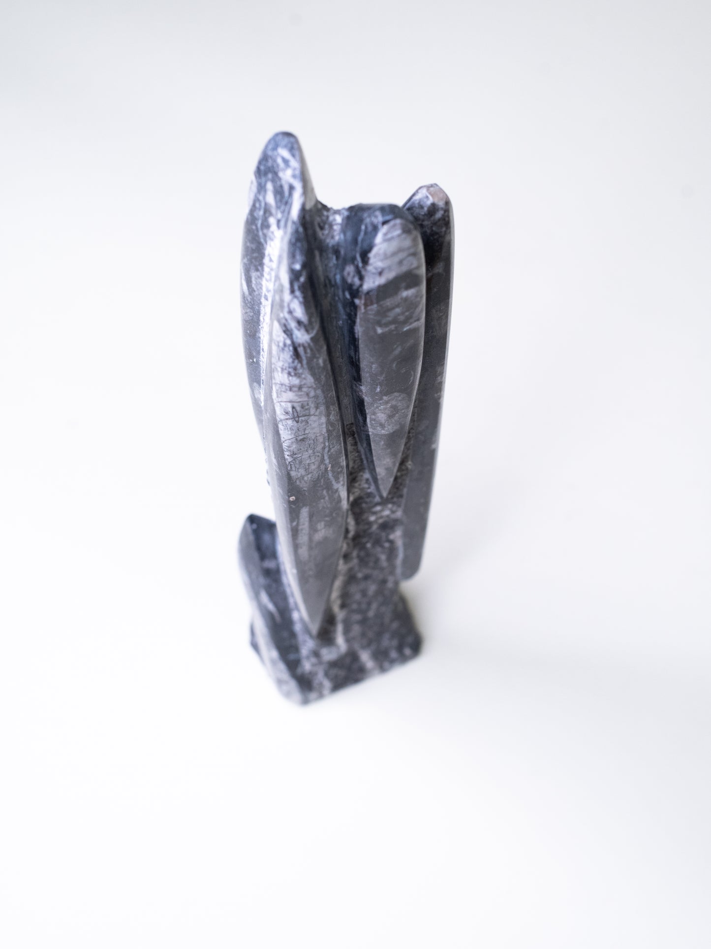 Tall Orthoceras Limestone Sculpture - Morocco, Late 20th Century