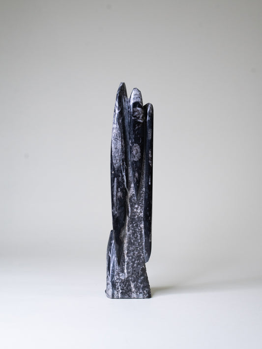 Tall Orthoceras Limestone Sculpture - Morocco, Late 20th Century