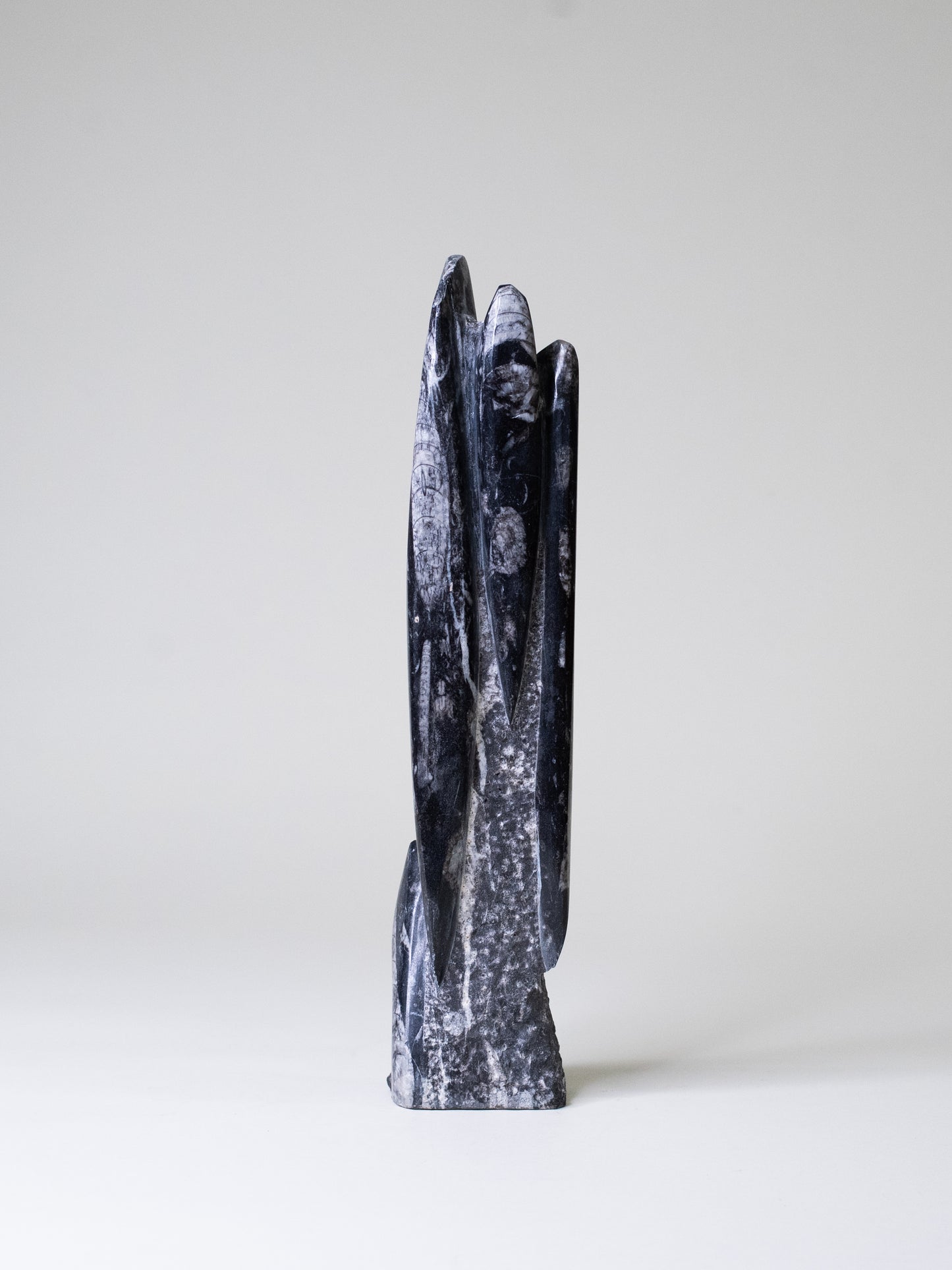 Tall Orthoceras Limestone Sculpture - Morocco, Late 20th Century