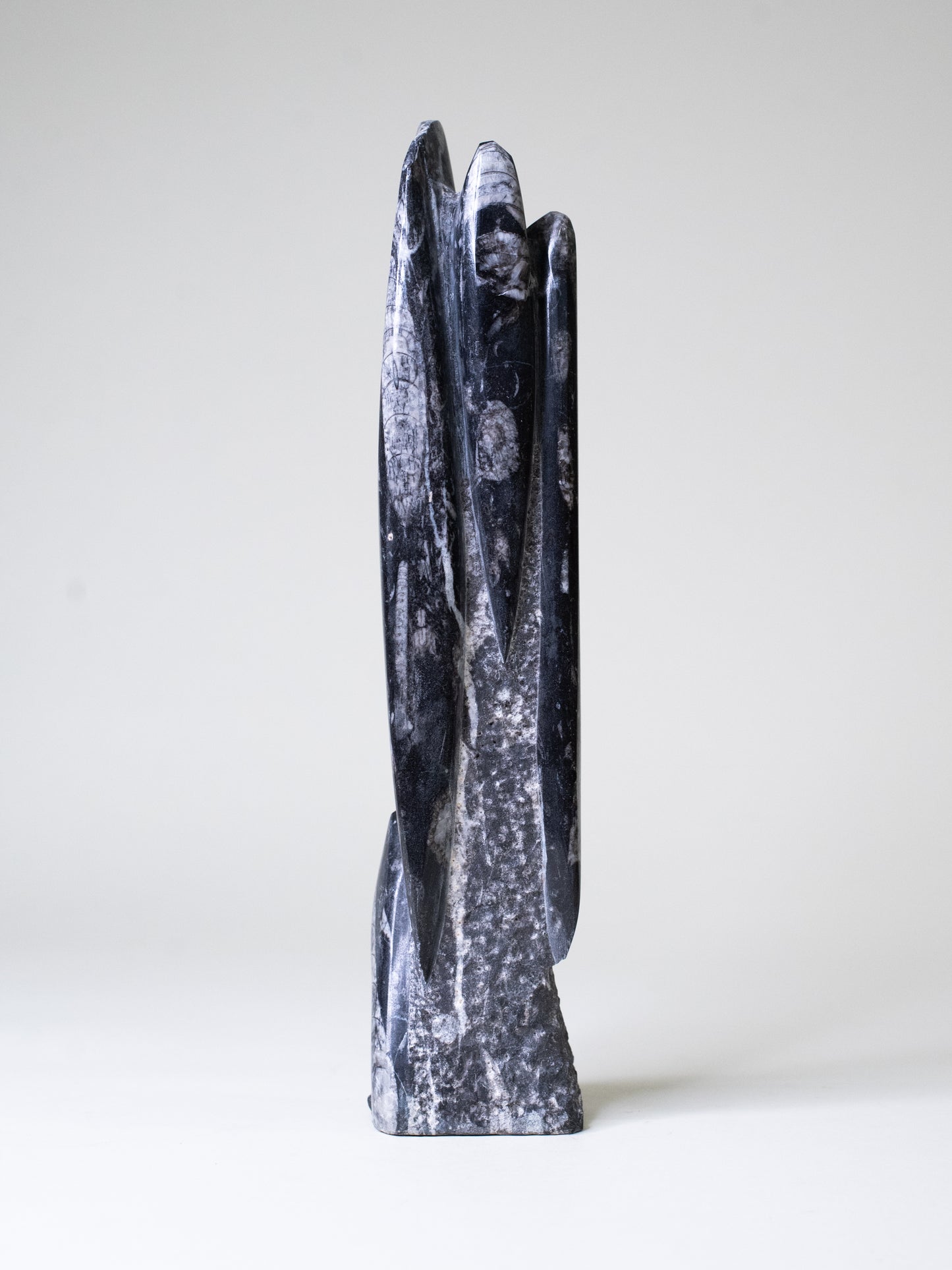 Tall Orthoceras Limestone Sculpture - Morocco, Late 20th Century