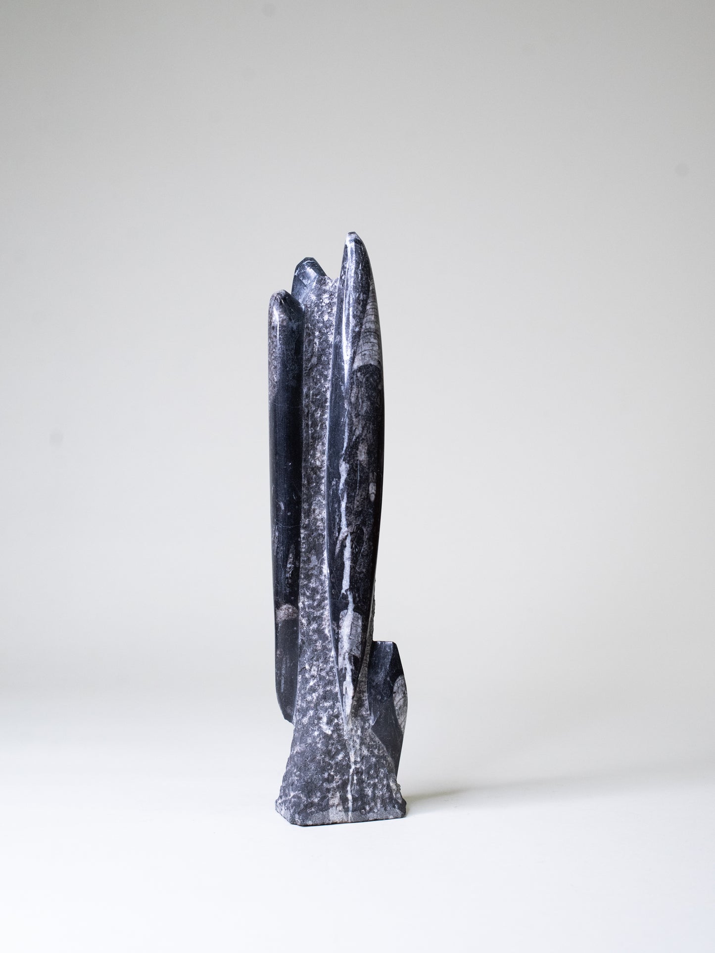 Tall Orthoceras Limestone Sculpture - Morocco, Late 20th Century