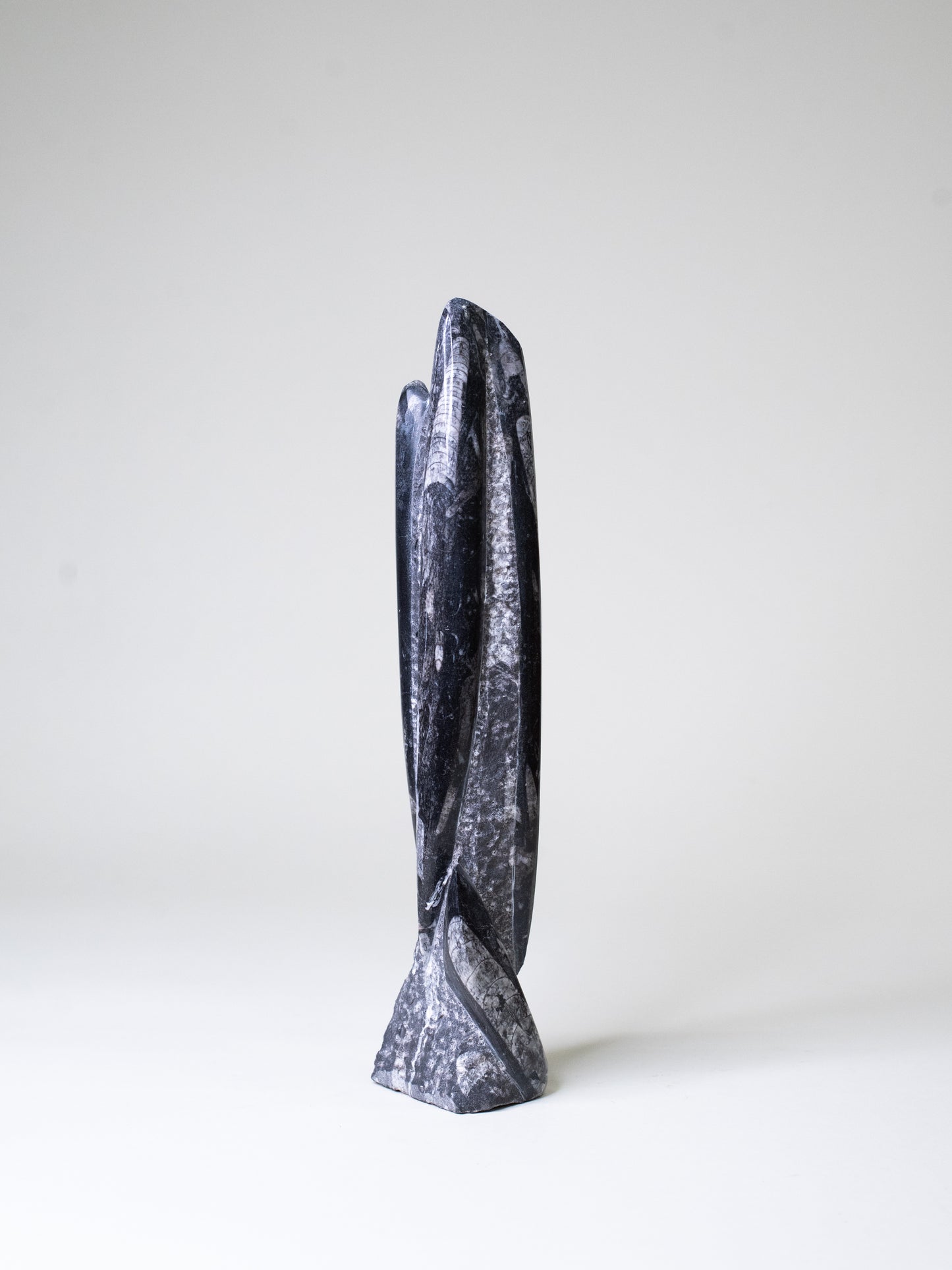 Tall Orthoceras Limestone Sculpture - Morocco, Late 20th Century