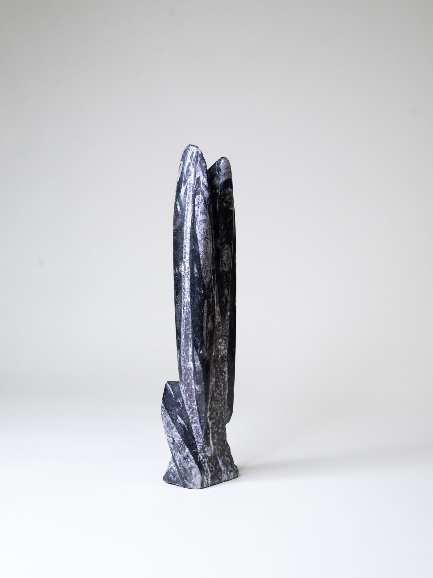 Tall Orthoceras Limestone Sculpture - Morocco, Late 20th Century